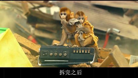 男主和猴子一起长大，发现自己是孙悟空的儿子，一部搞笑奇幻电影