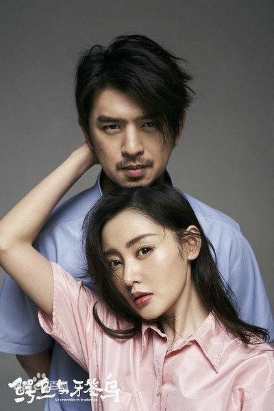 鳄鱼与牙签鸟 TV版