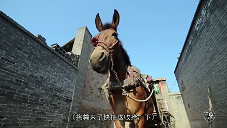 山西大叔赶两小时马车去掏粪，一天六十块，供起孩子读大学