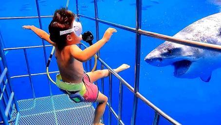 父母带小孩体验看鲨鱼，意想不到的事发生，镜头记录紧张过程！