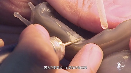更北京 | 虫虫特工队