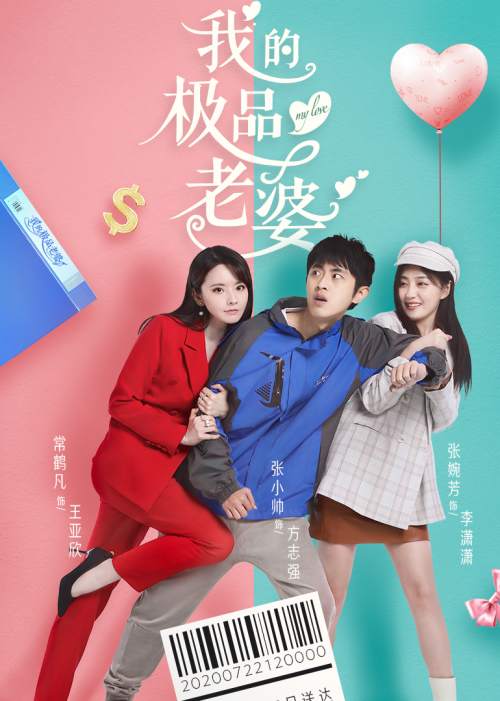 我的极品老婆第1季免费观看