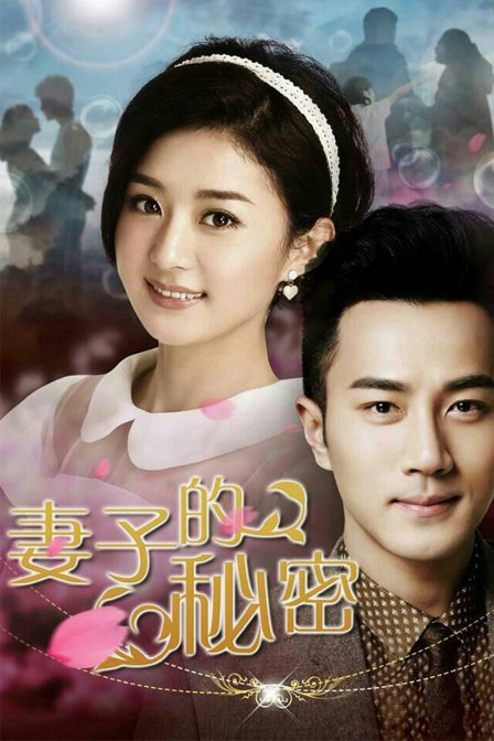 妻子的秘密 DVD版