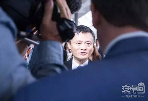 马云爸爸推出“运费险”，一天交易额上亿？
