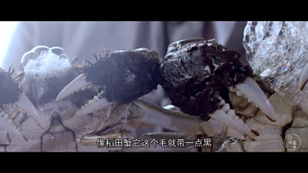 二更丨西风起，蟹脚痒，又到了吃螃蟹的季节！