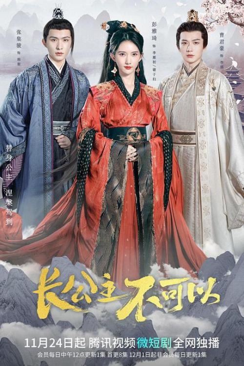 长公主不可以免费观看