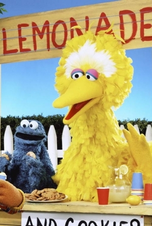 芝麻街之大鸟看世界