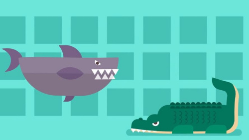 把鲨鱼和鳄鱼放进同一个泳池里，会发生什么？