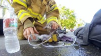 消防员为救小猫咪，就差人工呼吸了！尊重生命的典范