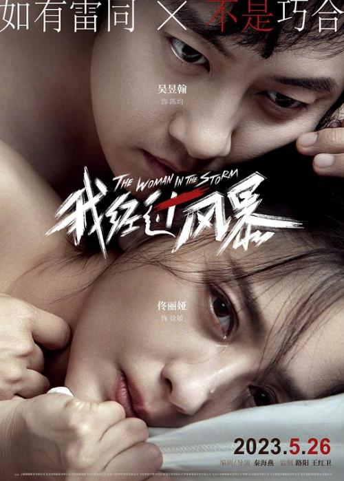 我经过风暴免费观看