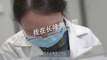 长隆游乐园报奖