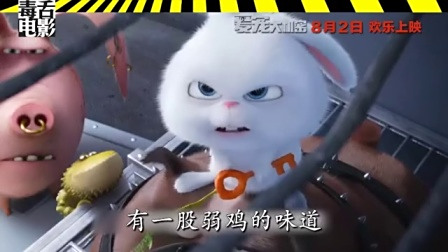 萌翻：方言版《爱宠大机密》真的太萌了！