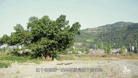 一群胆大包天的人，他们去了一个回不去的地方