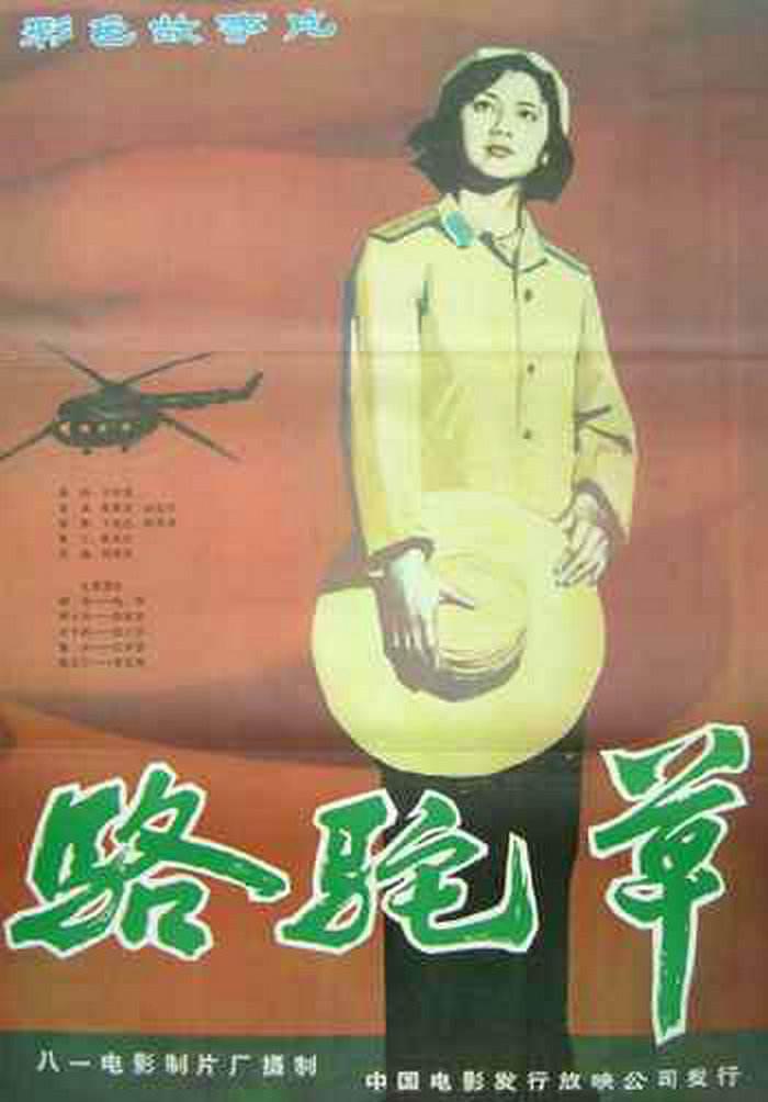 骆驼草1983爱情