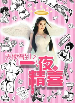 天使驾到(一夜精喜)