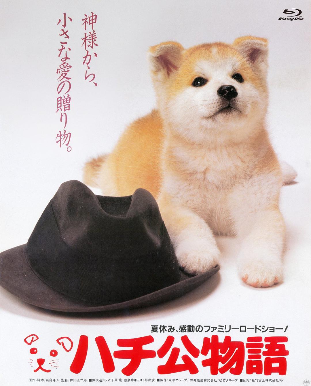 忠犬八公物语 电影 高清在线观看 金山影视