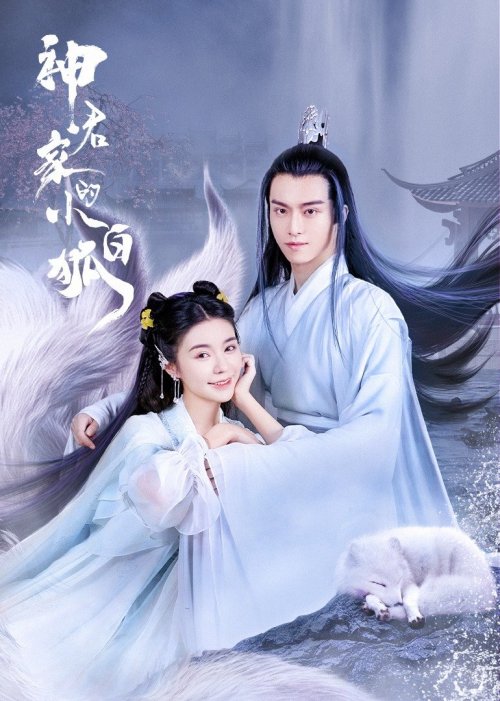 神君家的小白狐免费观看