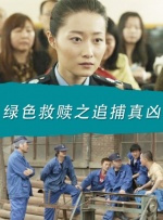 绿色救赎(追捕真凶)