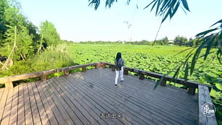 更成都 | 两只熊猫溜出动物园萌翻一大片