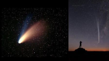 彗星对母鸡做了什么? 每次经过地球, 就有母鸡生下“彗星蛋”!