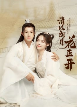 清风朗月花正开免费观看