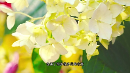 杭州有个地方美过云南,这里的花儿竟然会说人话！