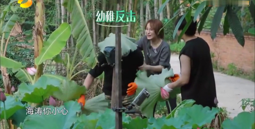 向往的生活第9期看点：昕昕报复海涛