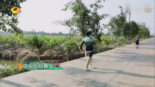 向往的生活第10期看点：海涛悠闲的步伐被嫌弃跑的太慢