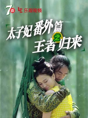 太子妃番外篇(王者归来)