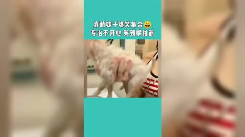 专治你的不开心，保证让你们看完之后笑到嘴抽筋，真是一些是神人啊！