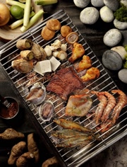 食物探索:用火篇