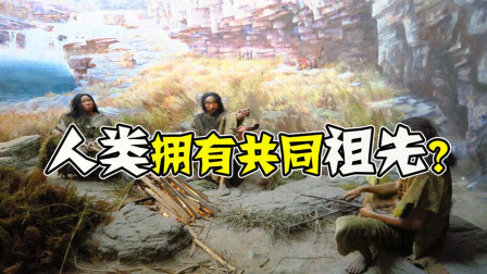 东方女娲造人, 西方亚当夏娃, 人类的共同祖先是谁?