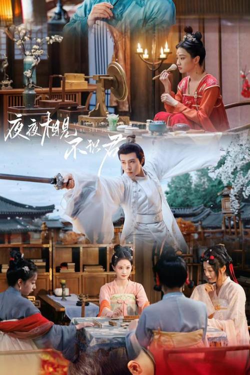 夜夜相见不识君免费观看