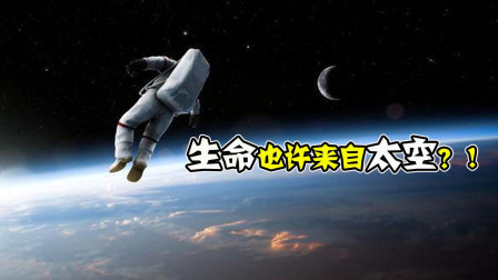 生命起源新推测, 你和都教授, 可能都来自放羊的星星?