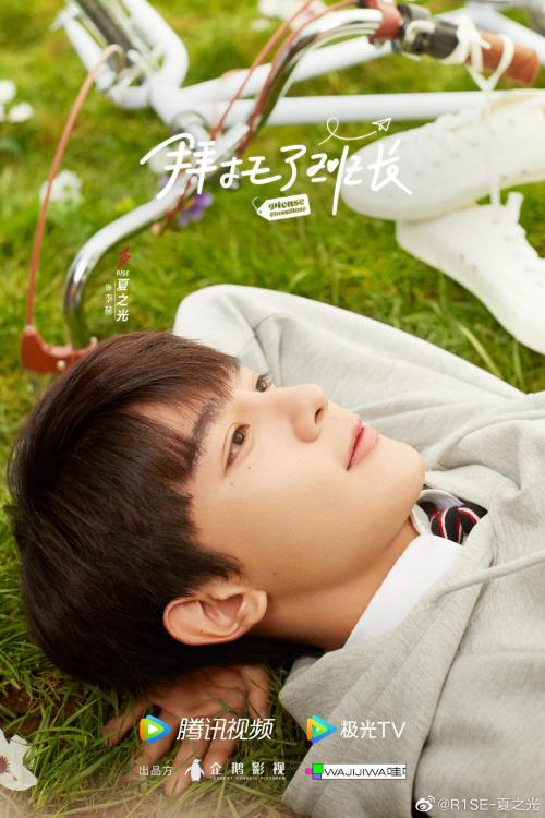 拜托了班长免费观看