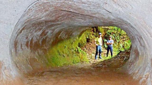 这里发现多个神秘洞窟，不是人为也非天然，怀疑是灭绝动物手抓的