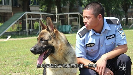 二更丨这个兵哥哥爱狗胜过爱女朋友