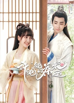 许纯纯的茶花运免费观看