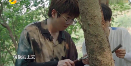 向往的生活4第8期看点：汗流浃背的毛毛割胶