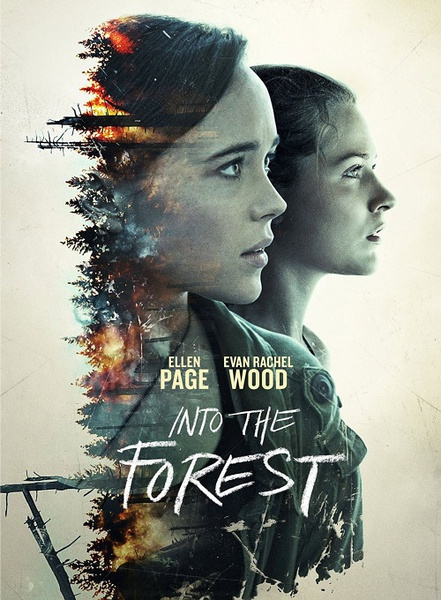 森林深处免费观看