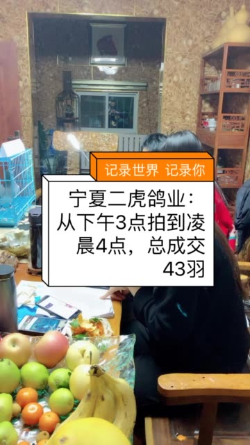 宁夏二虎鸽业:从下午3点拍到凌晨4点,总成交43羽