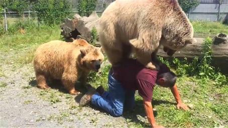 棕熊非要主人背背，主人：你那么大块头，确定不会把我压趴下？