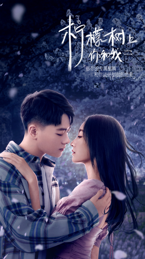 柠檬树上你和我免费观看