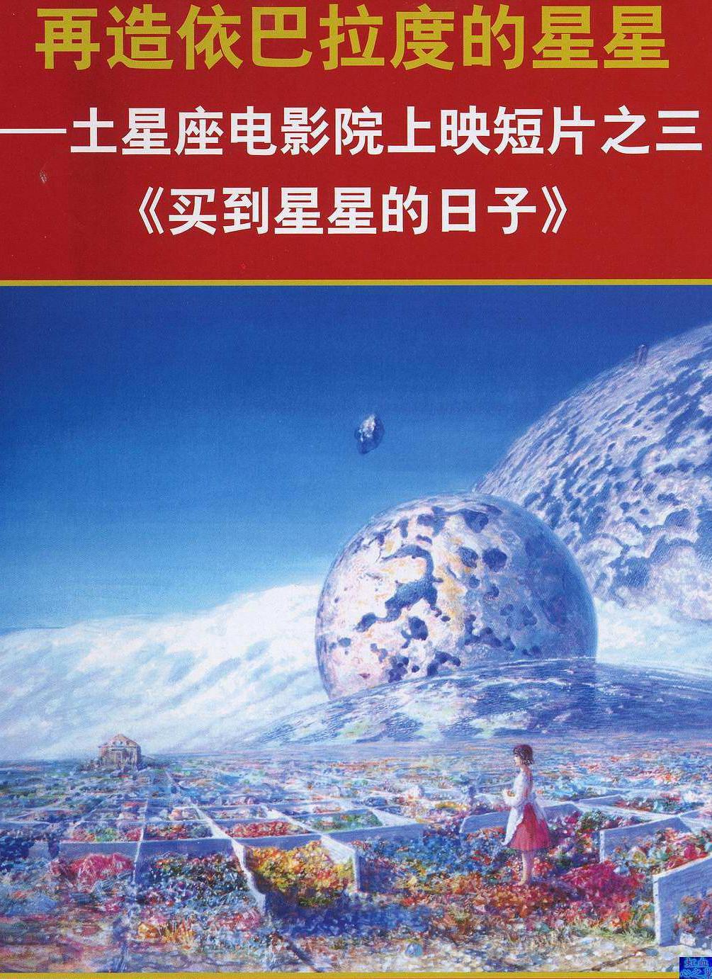 种下星星的日子