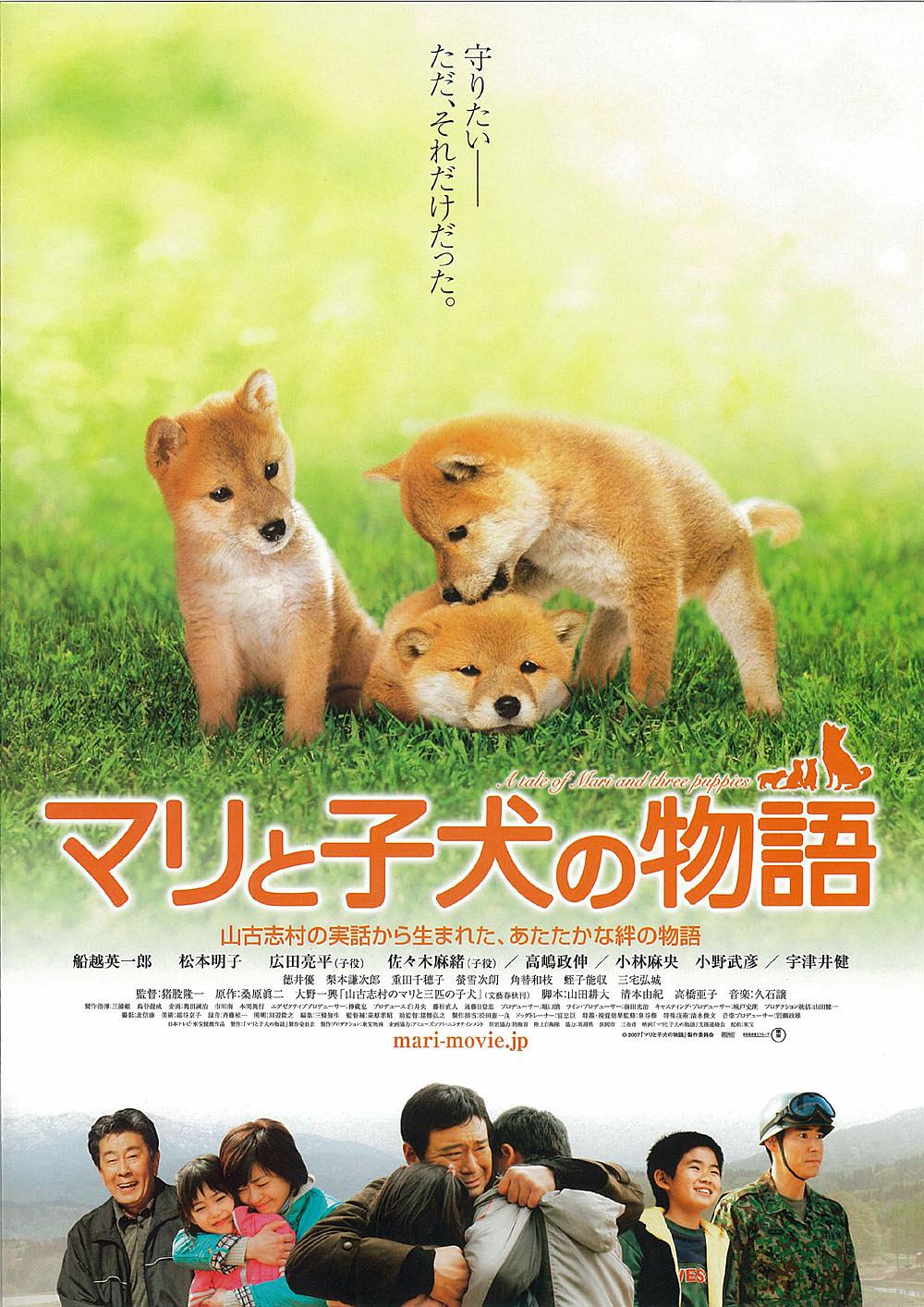 爱犬的奇迹 电影 高清在线观看 百度视频