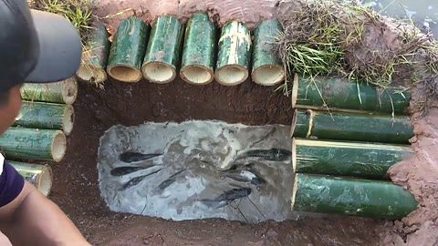 百度视频搜索--全球最大中文视频搜索引擎