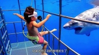 父母带小孩体验看鲨鱼，不料意外发生，镜头拍下紧张全过程！