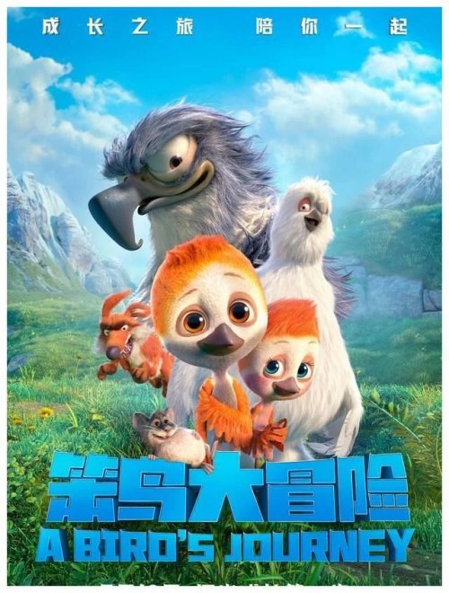 笨鸟大冒险免费观看