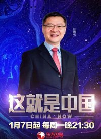 这就是中国[2020]