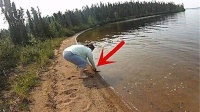 善良女子将鱼儿放生，刚放进水里意外就发生了，镜头记录全过程！